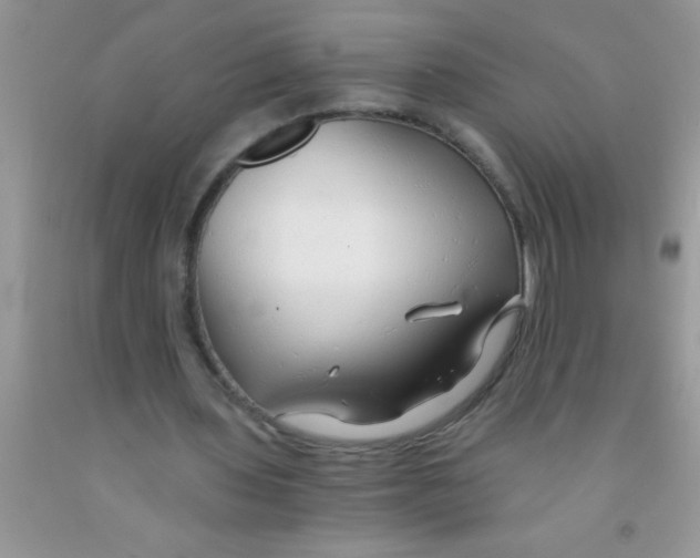 X0000091340435200709071221