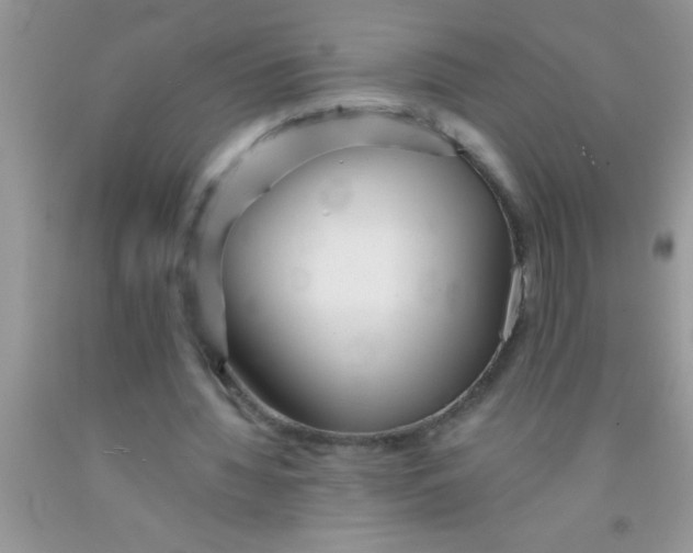 X0000091340436200709071221