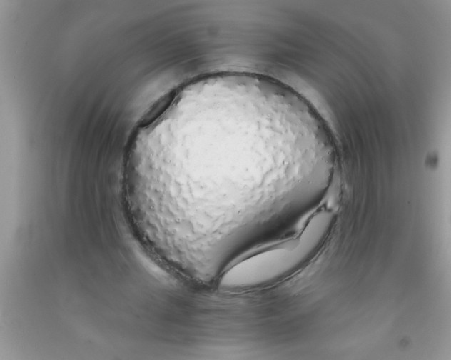 X0000091340437200709071221