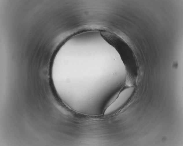 X0000091340438200709071221