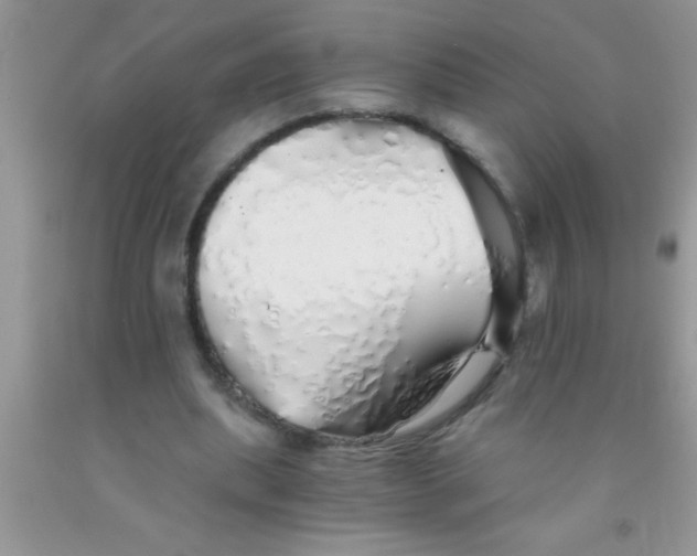 X0000091340439200709071221