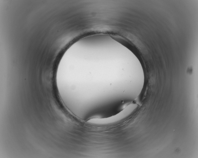 X0000091340440200709071221