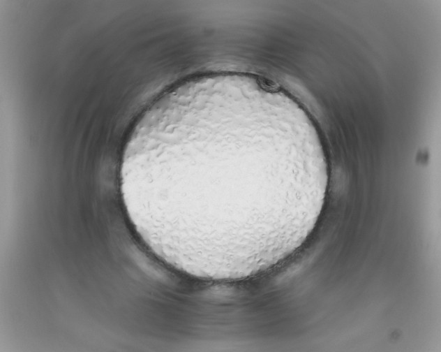 X0000091340441200709071221