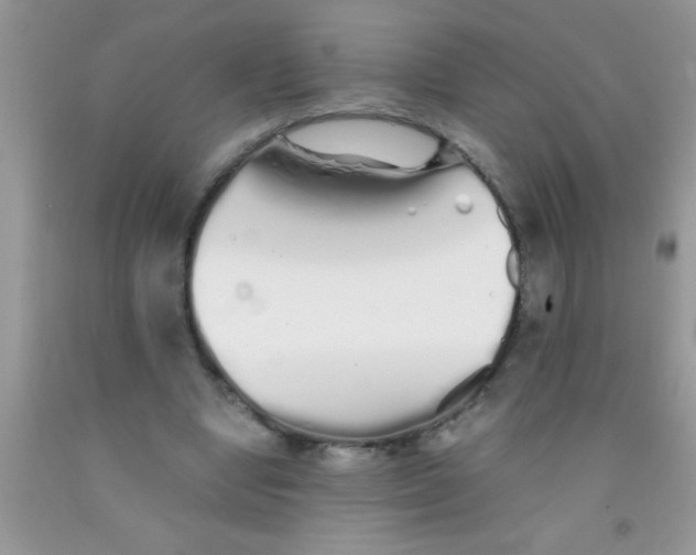 X0000091340442200709071221