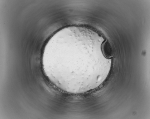 X0000091340443200709071221