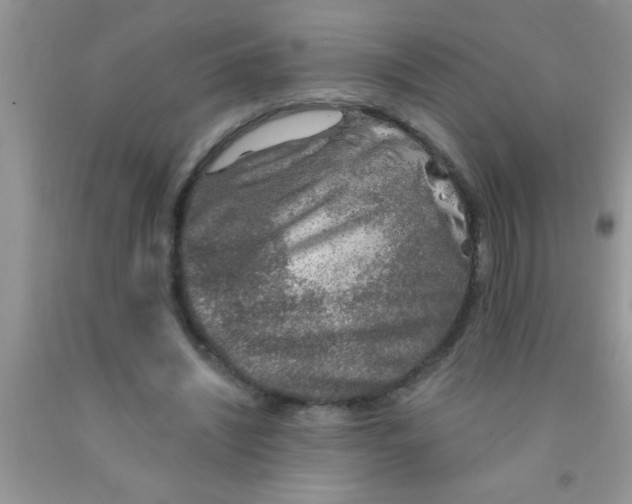 X0000091340444200709071221