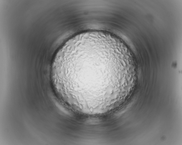 X0000091340445200709071221