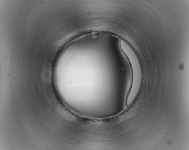 X0000091340446200709071221