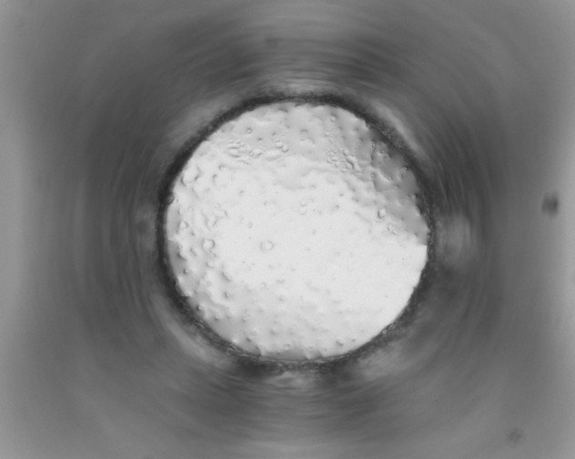 X0000091340447200709071221