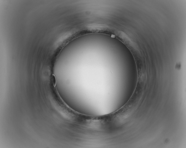 X0000091340448200709071221