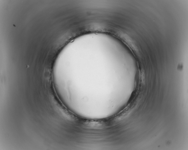 X0000091340449200709071221