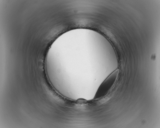 X0000091340450200709071221