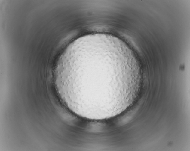 X0000091340453200709071221