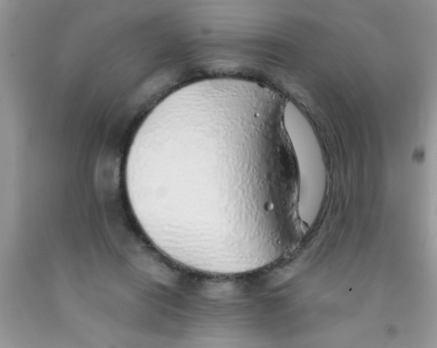 X0000091340454200709071221