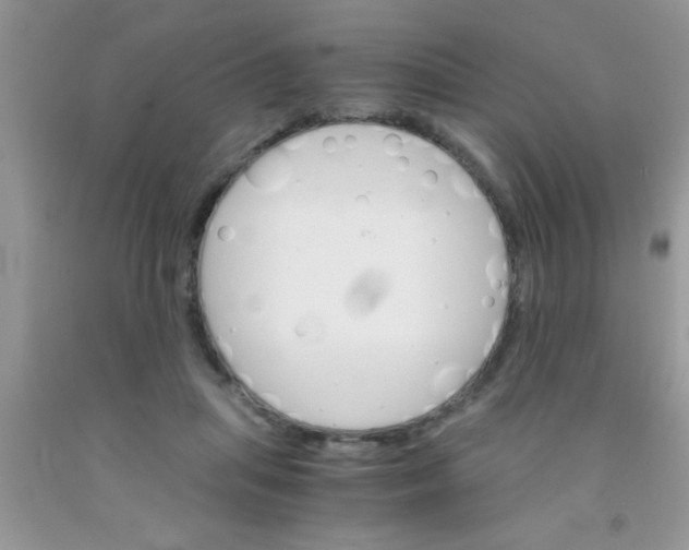 X0000091340455200709071221