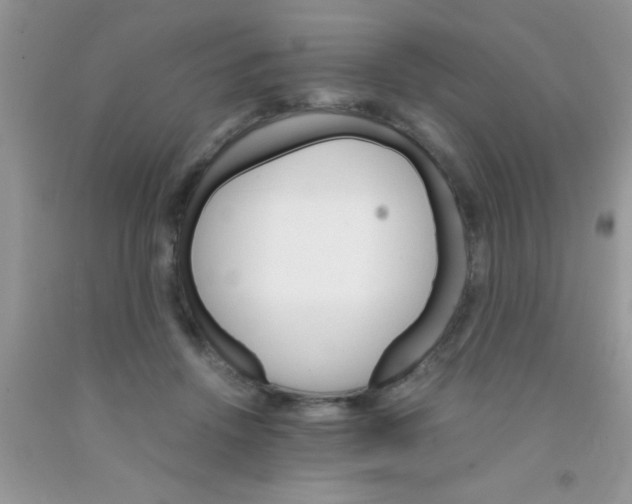 X0000091340456200709071221