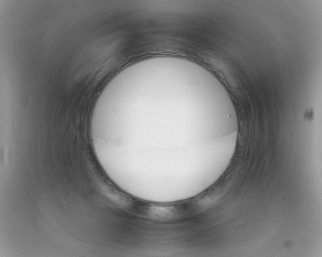 X0000091340457200709071221