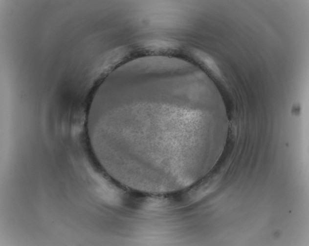 X0000091340458200709071221