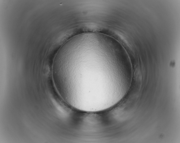 X0000091340459200709071221