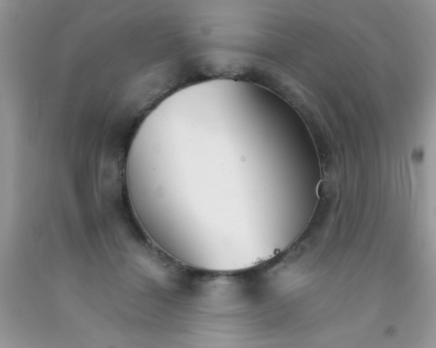 X0000091340460200709071221