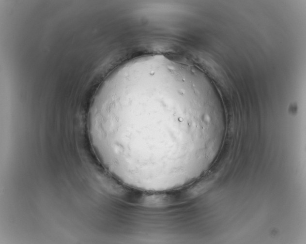 X0000091340461200709071221