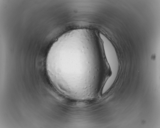 X0000091340462200709071221