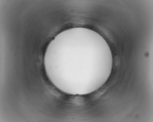 X0000091340463200709071221