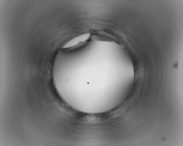 X0000091340464200709071221