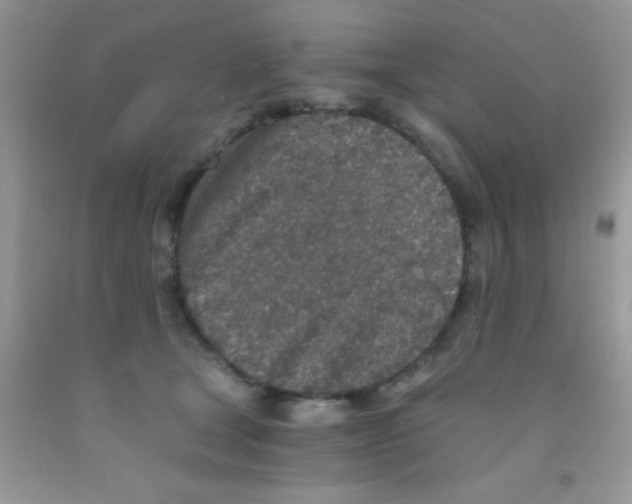 X0000091340465200709071221