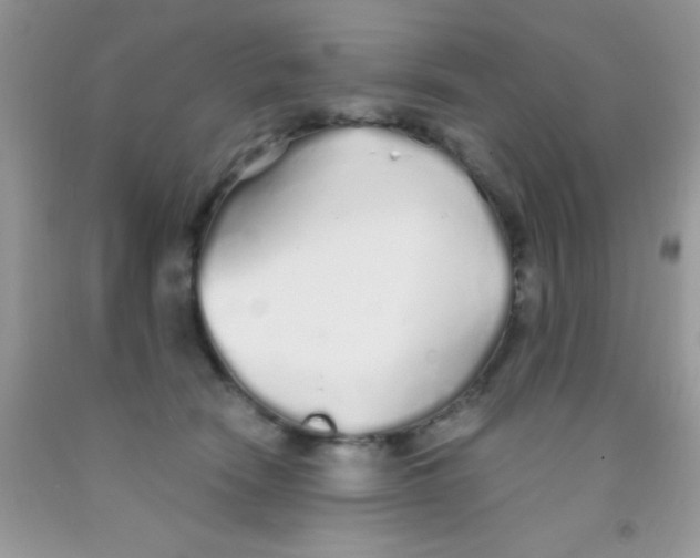 X0000091340466200709071221