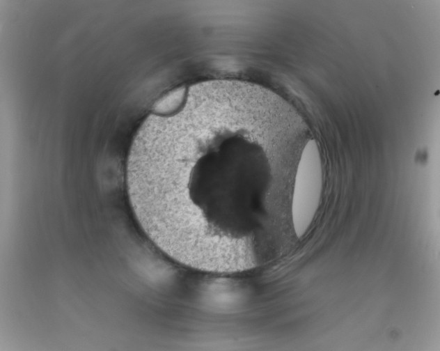 X0000091340467200709071221