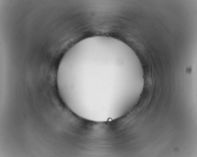 X0000091340468200709071221