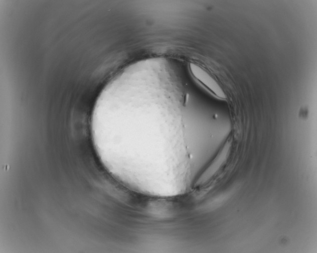 X0000091340470200709071221