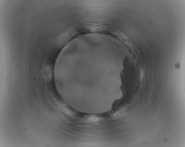 X0000091340471200709071221