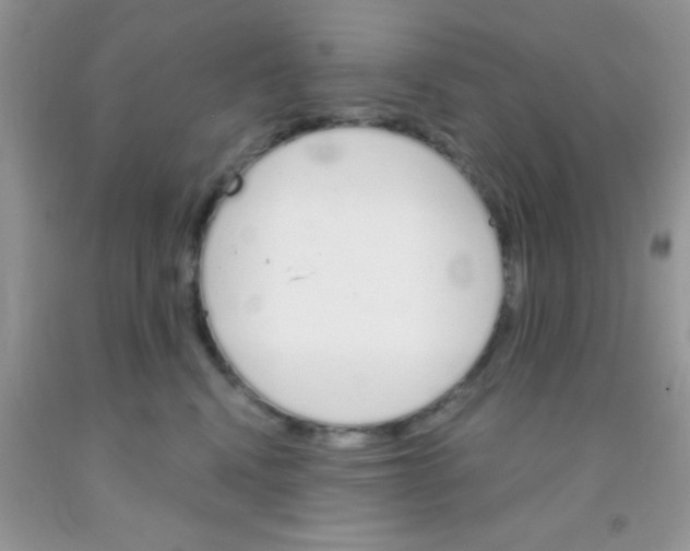 X0000091340472200709071221