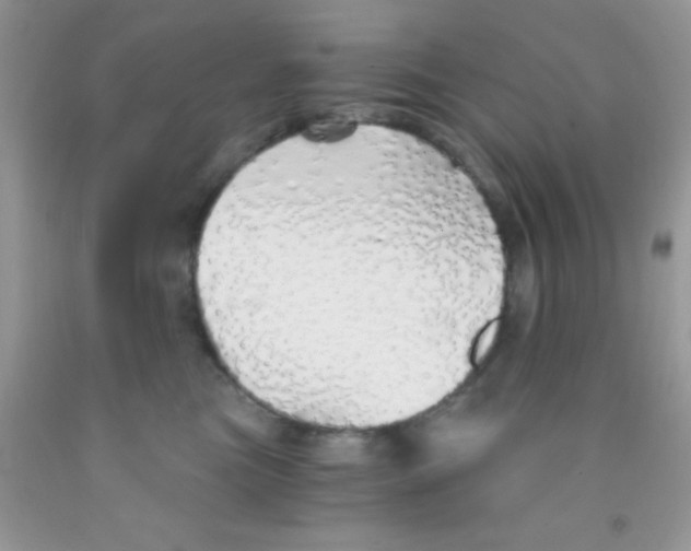 X0000091340473200709071221