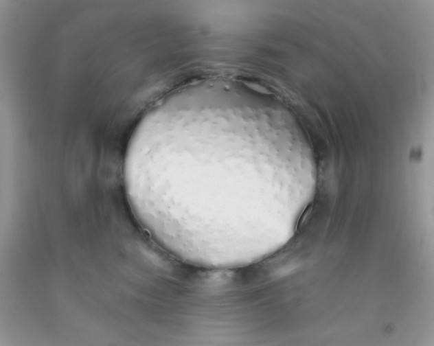 X0000091340474200709071221