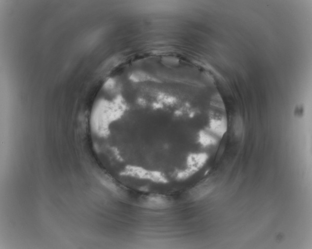 X0000091340475200709071221