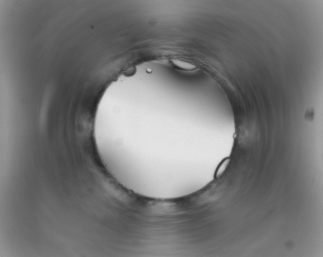 X0000091340476200709071221