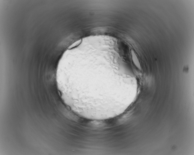 X0000091340477200709071221