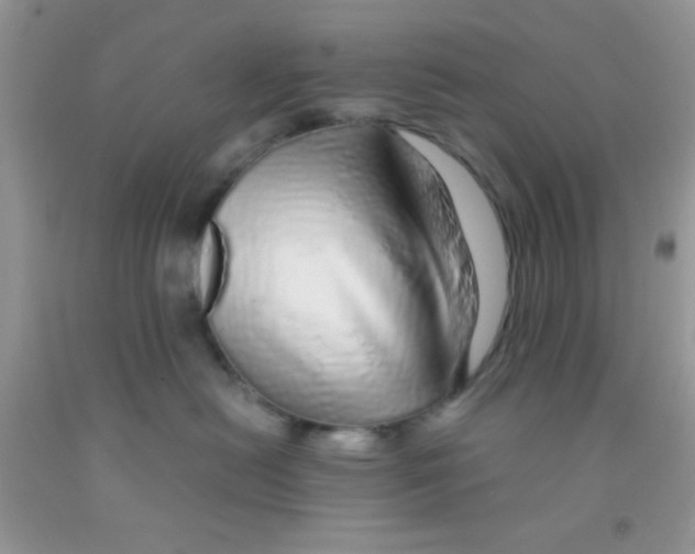 X0000091340478200709071222