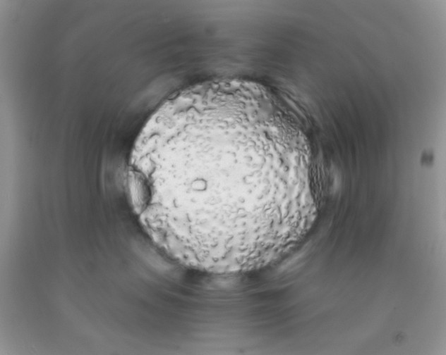 X0000091340479200709071222