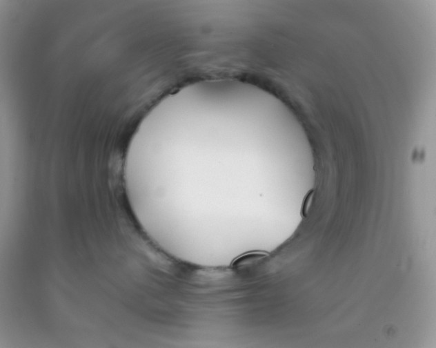 X0000091340480200709071222