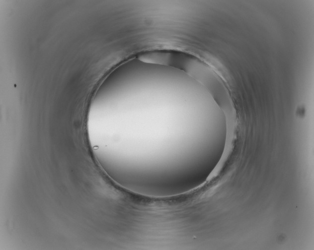 X0000091340481200709071221