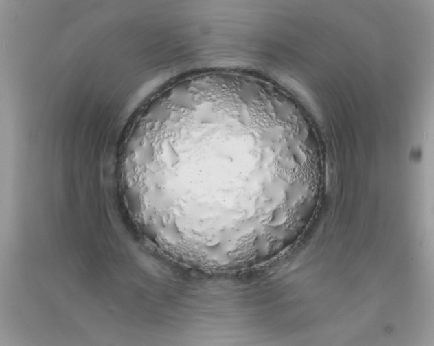 X0000091340483200709071221