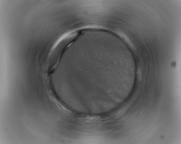 X0000091340484200709071221