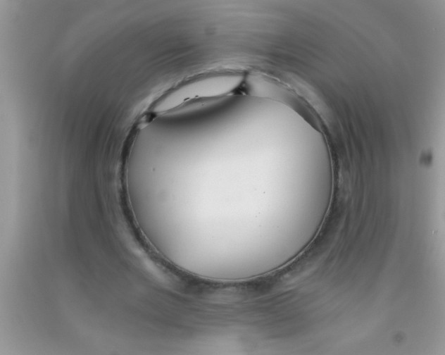 X0000091340485200709071221