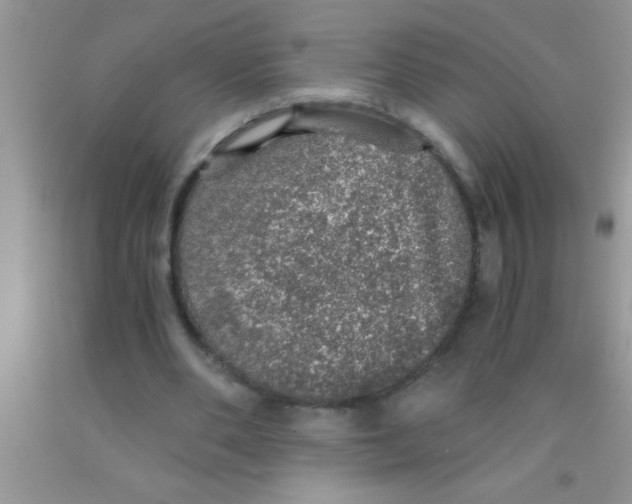 X0000091340486200709071221