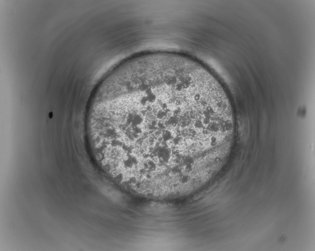 X0000091340487200709071221