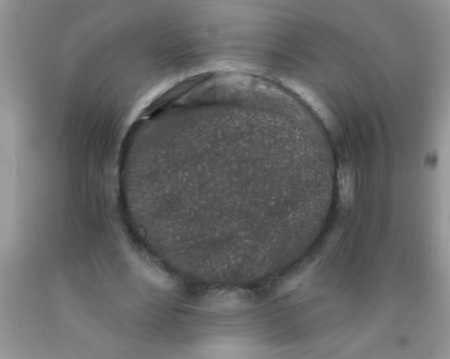 X0000091340488200709071221